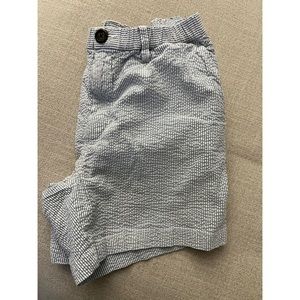 COPY - Chubbies 5.5 shorts